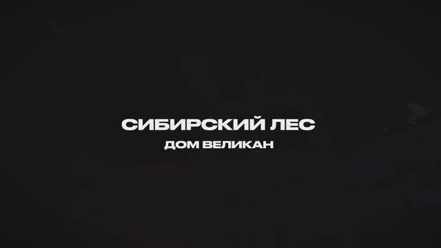 Эксклюзивный сруб Post&Beam Сибирская лиственница